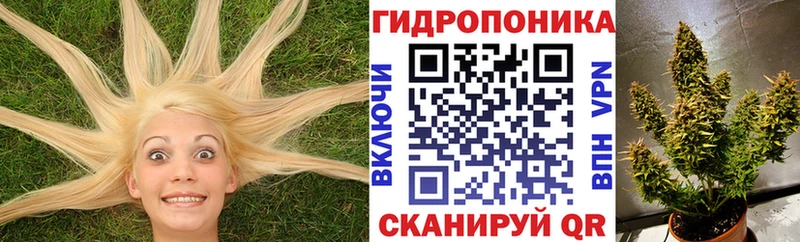 Бошки марихуана OG Kush  Нытва 